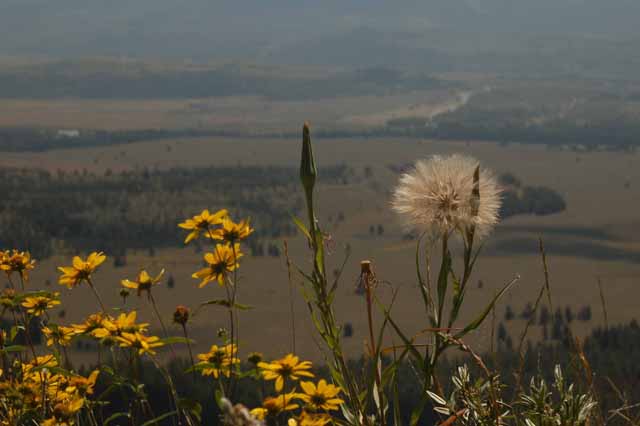 from Signal Mountain Overlook